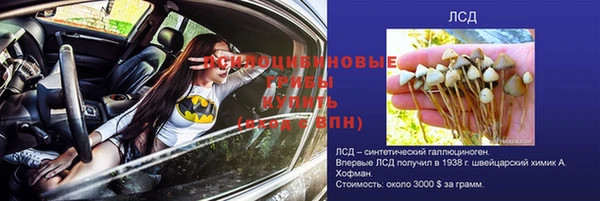 эйфоретик Верхний Тагил
