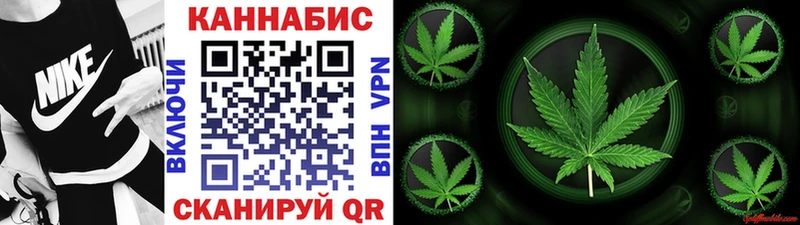Бошки марихуана Amnesia  купить наркоту  Кологрив 